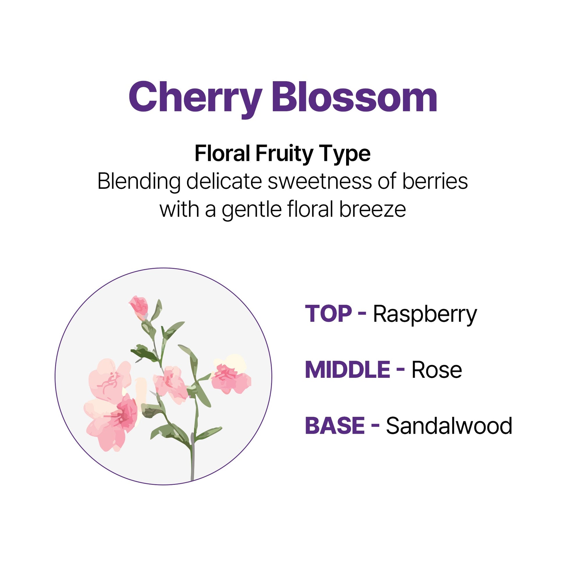 Honey & Macadamia Nature Shampoo - Cherry Blossom