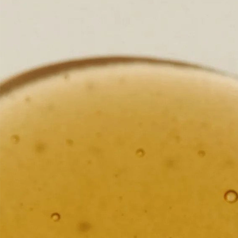 Quinoa Protein Shampoo