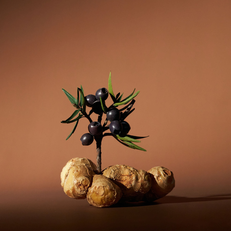 Circulating Body Oil Juniper Berry & Ginger