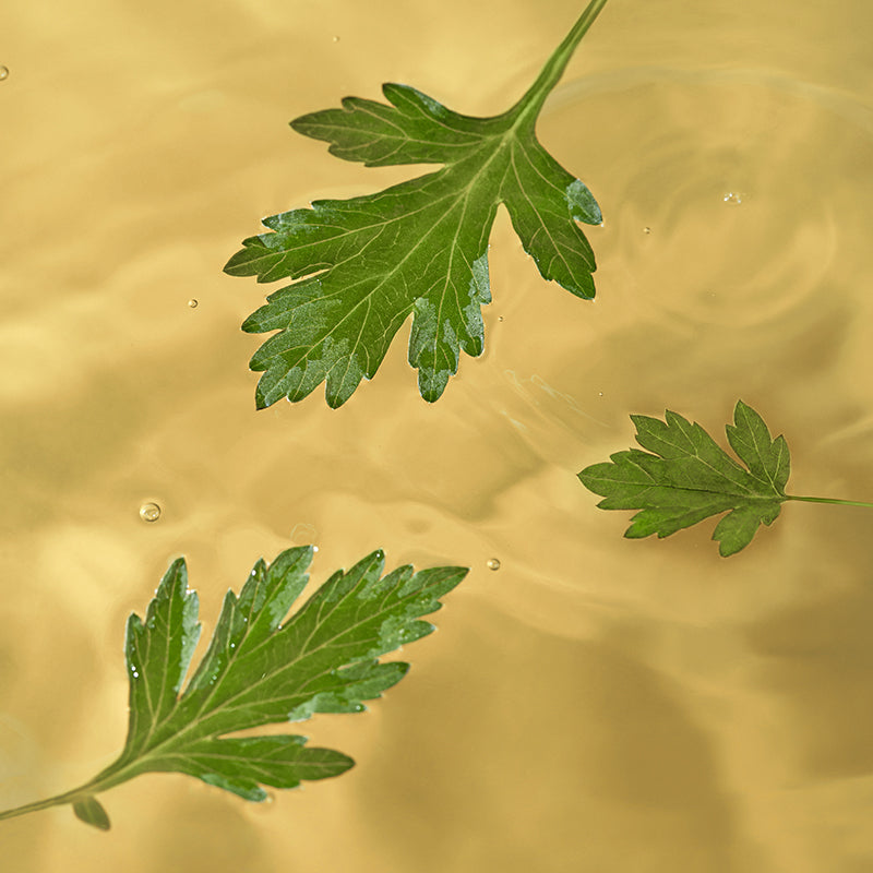 Mugwort Sheet Mask